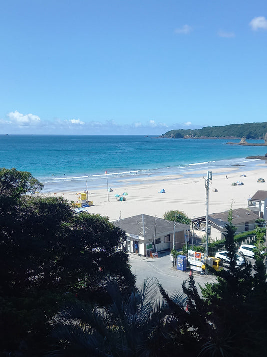 The sea at Shimoda.